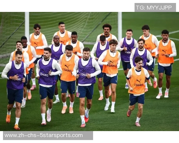 葡萄牙足球最新排名分析及未来发展趋势探讨 葡萄牙足球最新排名分析及未来发展趋势探讨